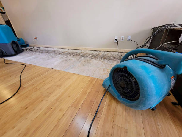 Professional Basement Flood Cleanup technician working in Jefferson, CO